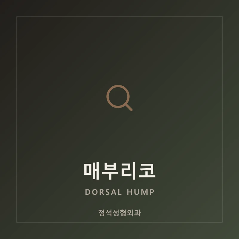 매부리코